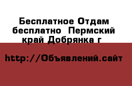 Бесплатное Отдам бесплатно. Пермский край,Добрянка г.